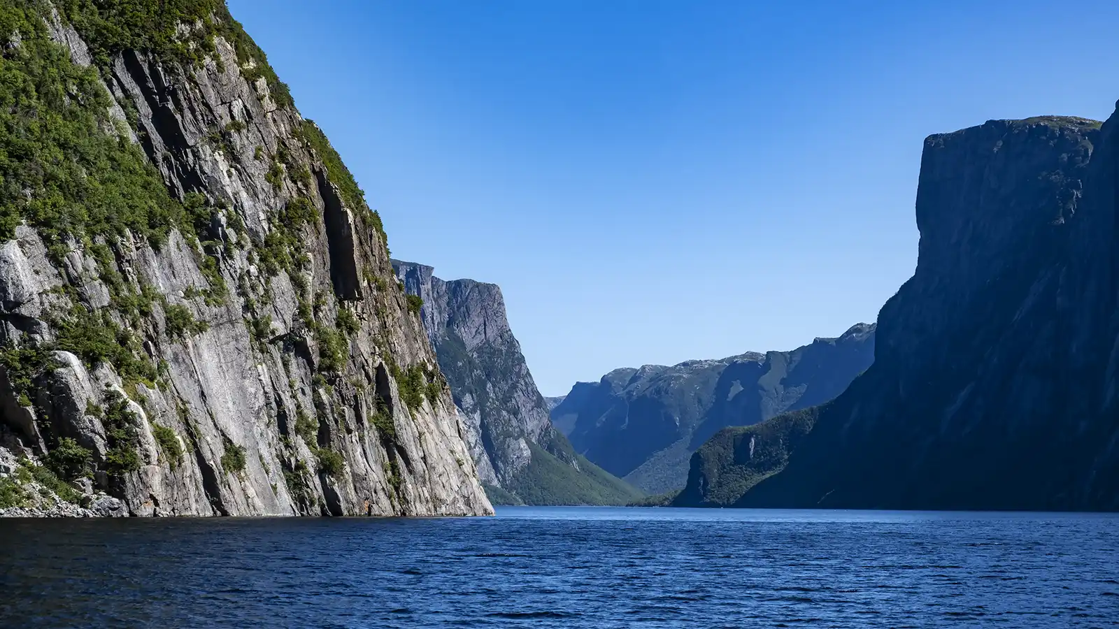 What you need to know before travelling to Newfoundland