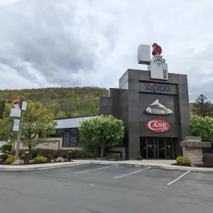 Niche Museums Worth Travelling For