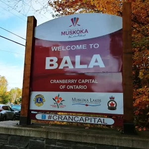 Don’s Bakery, Bala Ontario: Butter tart Quest