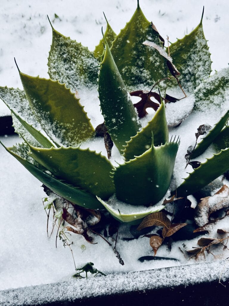 Weekly Devotions for Women